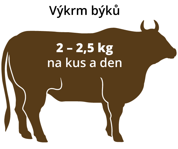 býk