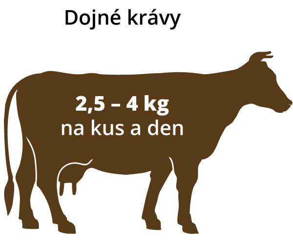kráva